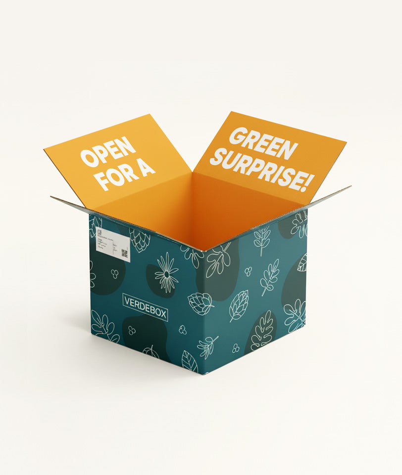 Corrugated Shipping Box (RSC)